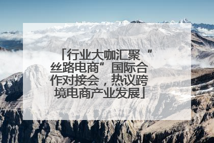 行业大咖汇聚“丝路电商”国际合作对接会，热议跨境电商产业发展