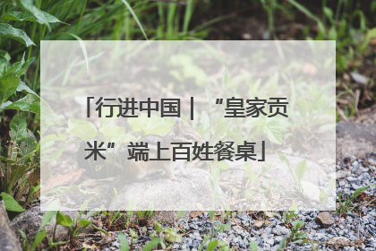 行进中国｜“皇家贡米”端上百姓餐桌