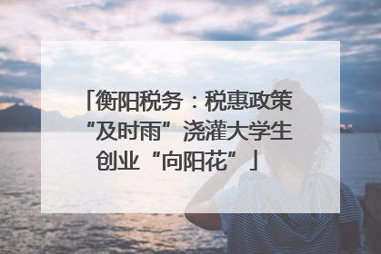 衡阳税务：税惠政策“及时雨”浇灌大学生创业“向阳花”