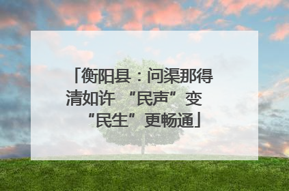 衡阳县：问渠那得清如许 “民声”变“民生”更畅通