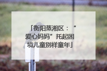 衡阳蒸湘区：“爱心妈妈”托起困境儿童别样童年