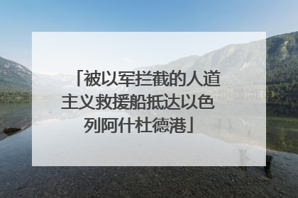 被以军拦截的人道主义救援船抵达以色列阿什杜德港