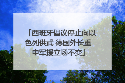 西班牙倡议停止向以色列供武 德国外长重申军援立场不变