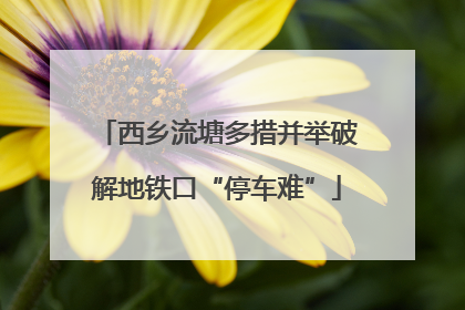 西乡流塘多措并举破解地铁口“停车难”