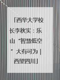 西华大学校长李秋实：乐山“智慧低空”大有可为｜西望四川