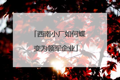 西南小厂如何蝶变为领军企业
