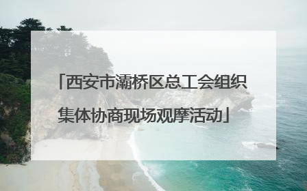 西安市灞桥区总工会组织集体协商现场观摩活动