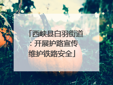 西峡县白羽街道：开展护路宣传 维护铁路安全