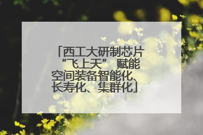 西工大研制芯片“飞上天” 赋能空间装备智能化、长寿化、集群化