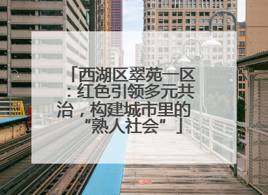 西湖区翠苑一区：红色引领多元共治，构建城市里的“熟人社会”