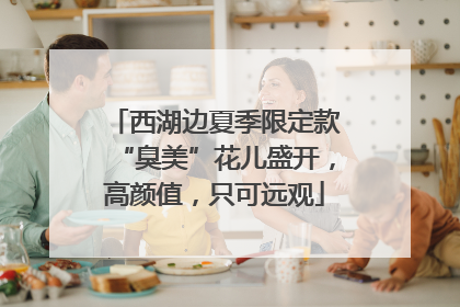 西湖边夏季限定款“臭美”花儿盛开，高颜值，只可远观