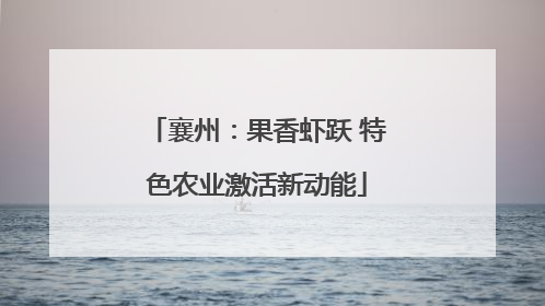 襄州：果香虾跃 特色农业激活新动能