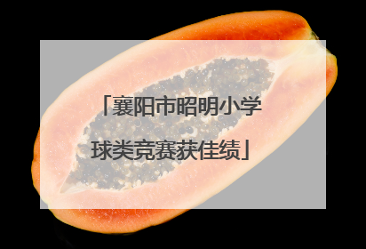 襄阳市昭明小学球类竞赛获佳绩