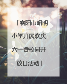 襄阳市昭明小学开展欢庆六一暨校园开放日活动