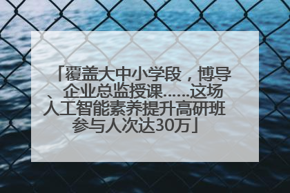 覆盖大中小学段，博导、企业总监授课……这场人工智能素养提升高研班参与人次达30万