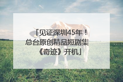 见证深圳45年！总台原创精品短剧集《奇迹》开机