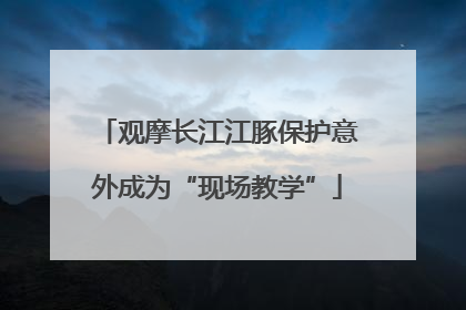 观摩长江江豚保护意外成为“现场教学”