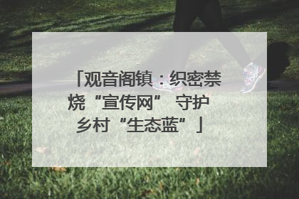 观音阁镇：织密禁烧“宣传网” 守护乡村“生态蓝”