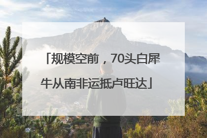 规模空前，70头白犀牛从南非运抵卢旺达
