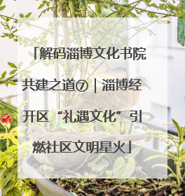 解码淄博文化书院共建之道⑦｜淄博经开区“礼遇文化”引燃社区文明星火
