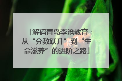 解码青岛李沧教育：从“分数跃升”到“生命滋养”的进阶之路