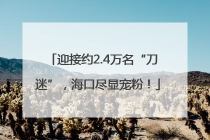 迎接约2.4万名“刀迷”，海口尽显宠粉！