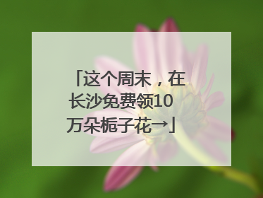 这个周末，在长沙免费领10万朵栀子花→