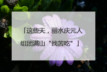 这些天，丽水庆元人组团满山“找苦吃”