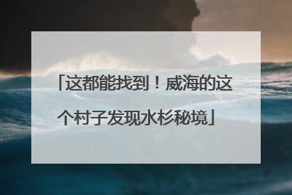 这都能找到！威海的这个村子发现水杉秘境