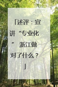 述评：宣讲“专业化” 浙江做对了什么？