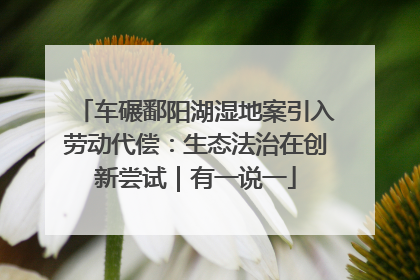 车碾鄱阳湖湿地案引入劳动代偿：生态法治在创新尝试｜有一说一