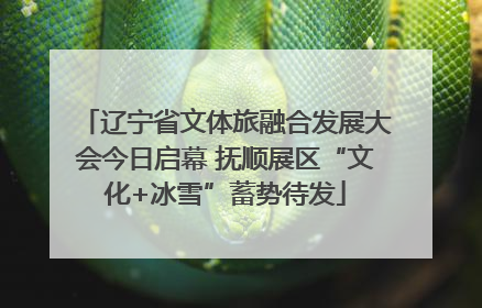 辽宁省文体旅融合发展大会今日启幕 抚顺展区“文化+冰雪”蓄势待发