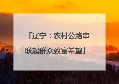 辽宁：农村公路串联起群众致富希望