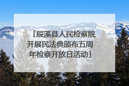 辰溪县人民检察院开展民法典颁布五周年检察开放日活动