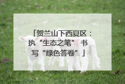 贺兰山下西夏区：执“生态之笔” 书写“绿色答卷”