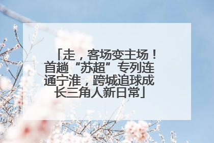 走，客场变主场！首趟“苏超”专列连通宁淮，跨城追球成长三角人新日常