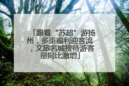 跟着“苏超”游扬州，多重福利迎客流，文旅名城接待游客量同比激增