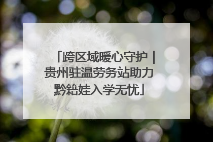 跨区域暖心守护｜贵州驻温劳务站助力黔籍娃入学无忧
