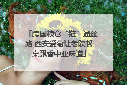 跨国粮仓“链”通丝路 西安爱菊让老陕餐桌飘香中亚味道