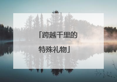 跨越千里的特殊礼物