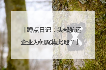 蹲点日记：头部航运企业为何聚集此地？