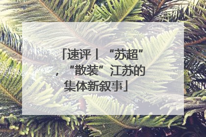 速评丨“苏超”，“散装”江苏的集体新叙事