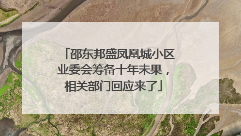 邵东邦盛凤凰城小区业委会筹备十年未果，相关部门回应来了