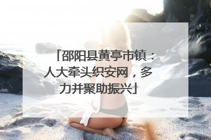 邵阳县黄亭市镇：人大牵头织安网，多力并聚助振兴