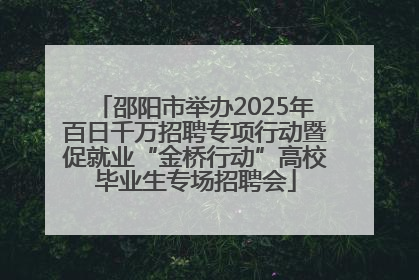 邵阳市举办2025年百日千万招聘专项行动暨促就业“金桥行动”高校毕业生专场招聘会