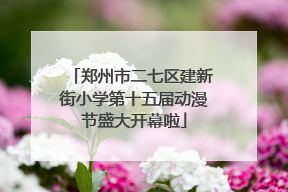 郑州市二七区建新街小学第十五届动漫节盛大开幕啦