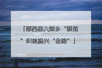 郧西县六郎乡“银茧”织就振兴“金路”
