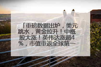 重磅数据出炉，美元跳水，黄金拉升！中概股大涨！英伟达涨超4%，市值重返全球第一！黄仁勋计划出售至多600万股股票