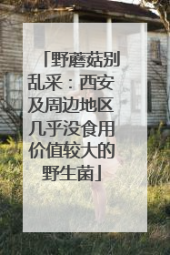 野蘑菇别乱采：西安及周边地区几乎没食用价值较大的野生菌