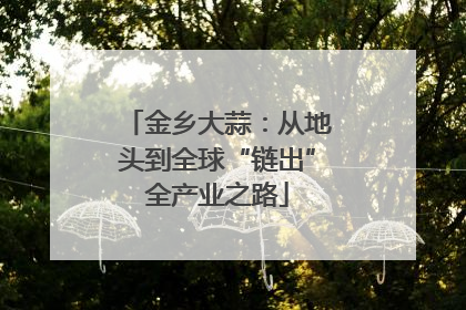 金乡大蒜：从地头到全球“链出”全产业之路